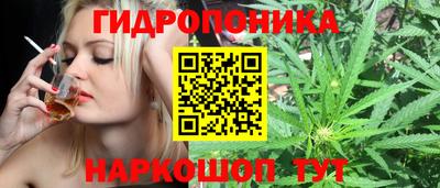 шишки Баксан