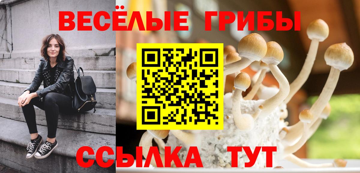 Псилоцибиновые грибы GOLDEN TEACHER  Вход с VPN  Добрянка  Галлюциногенные грибы прущие грибы 